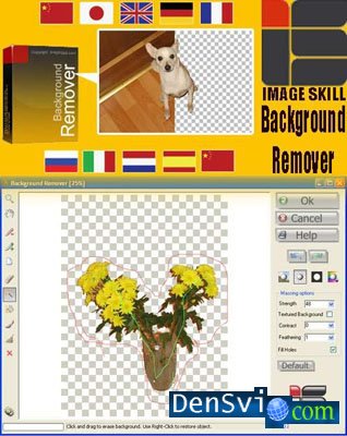 Image Skill Background Remover