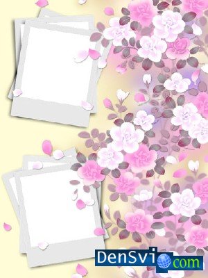 Gentle Photoframe with pink colours and petals