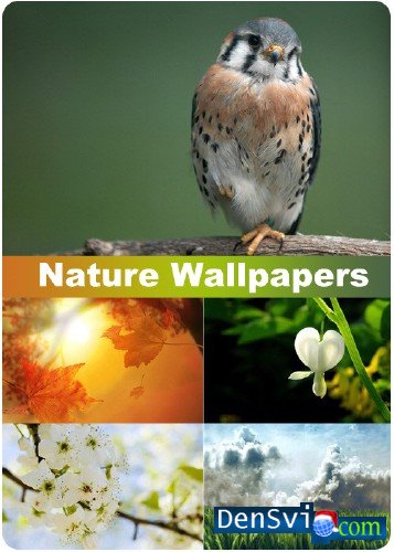   -  - Nature Wallpapers