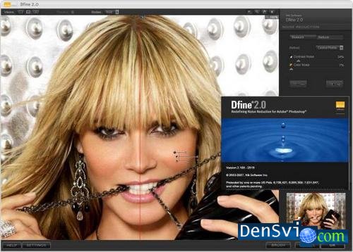 Nik Software Dfine v2.106   Adobe Photoshop
