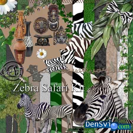  -  Zebra Safari