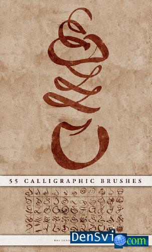   - Calligraphic brushes