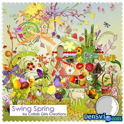  kit -  Swing Spring