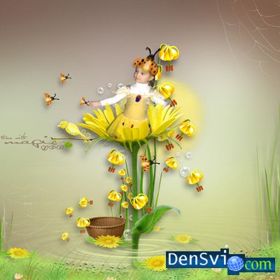 - -  Sunshine Flowers