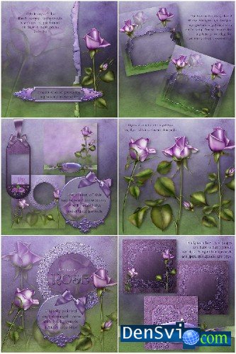 - - Lavender Rose