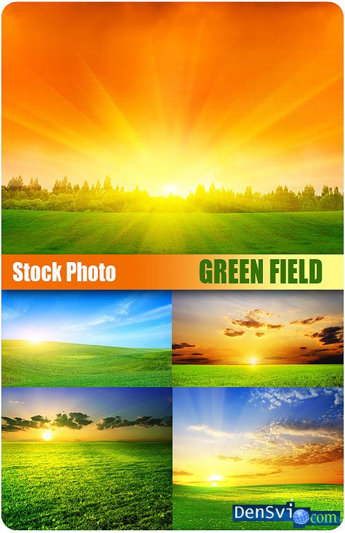    - Green fields