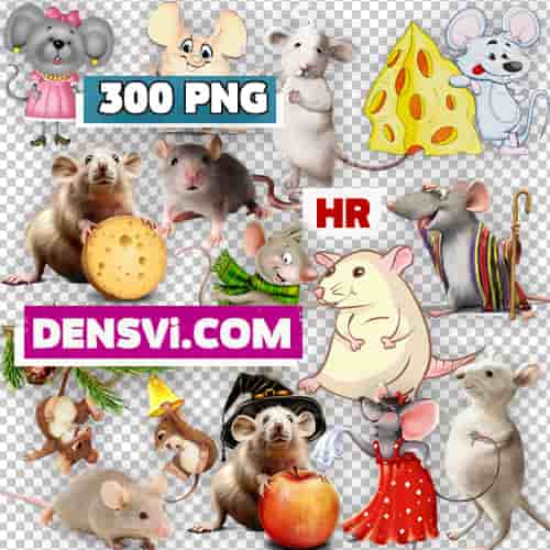 Rat mouse transparent background free