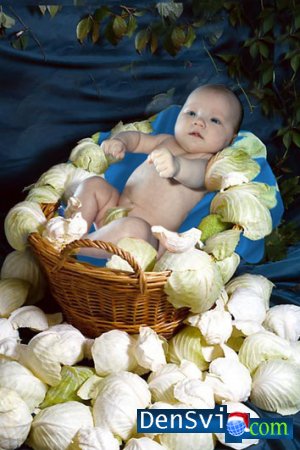 Картинка 45 из 2826