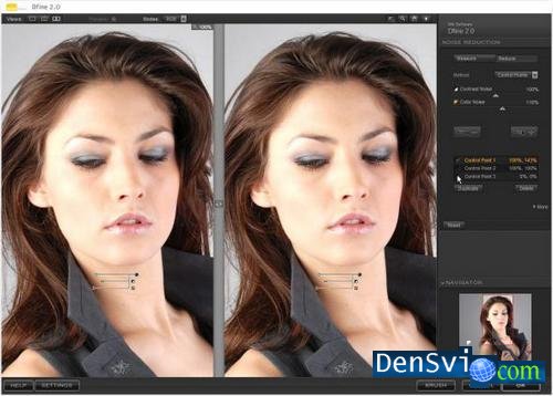 Nik Software Dfine v2.106   Adobe Photoshop