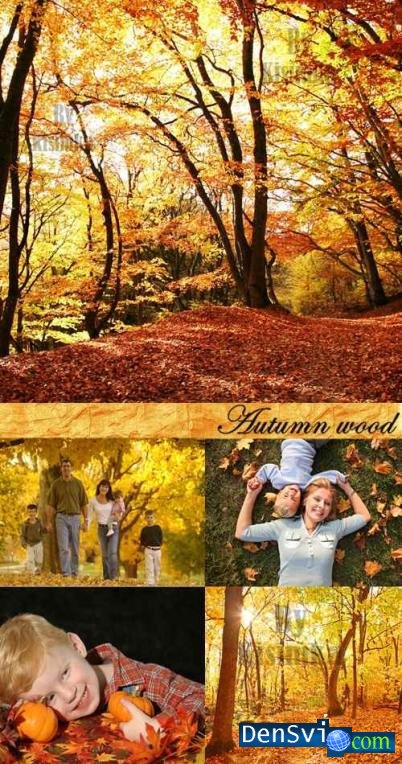 Фото, Stock Photo - Осенний лес