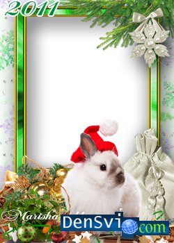 Хорошенькая рамка Photoshop - Белый кролик