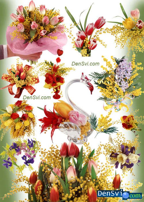 Красивый клипарт Фотошоп - Весенние цветы