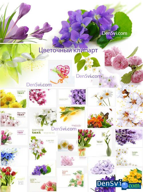 Цветочные фоны Фотошоп - Весеннее цветение