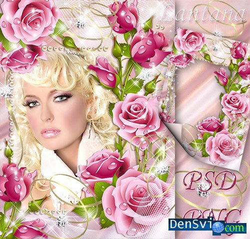 Рамка Photoshop - Великолепие розовых роз