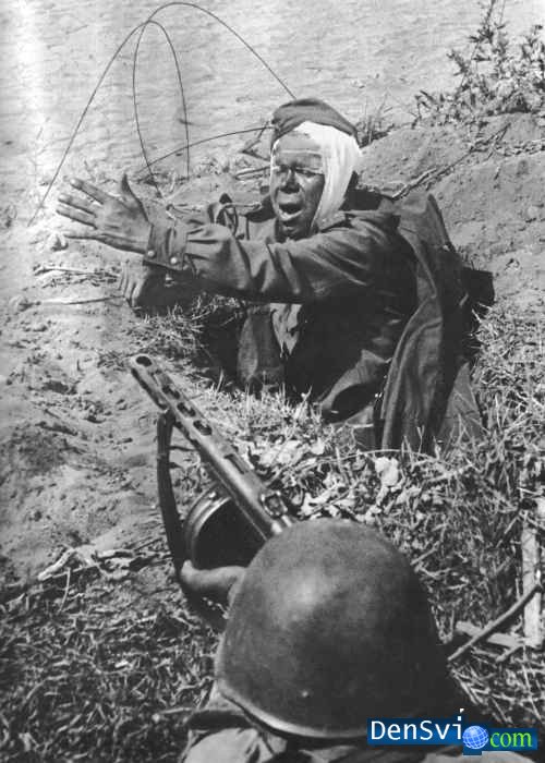 Советское Фото 1944 года скачать бесплатно