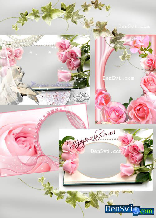 Рамки Фотошопа - Прелесть розовых роз