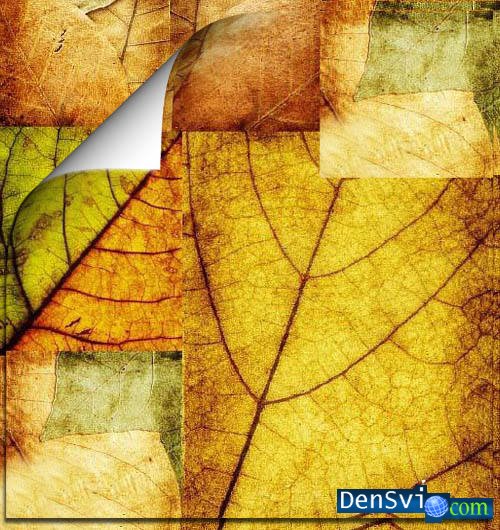 Разнообразные текстуры осенних листьев