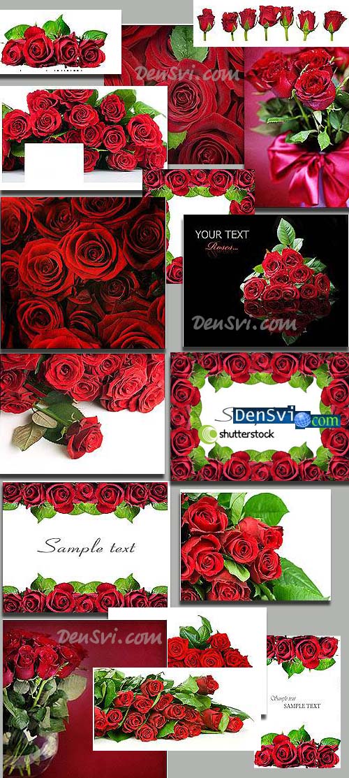 Растровые фоны - Изысканность красных роз