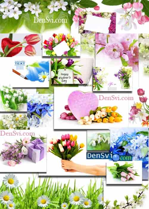 Нежные весенние цветы - Фоны Фотошопа растровые