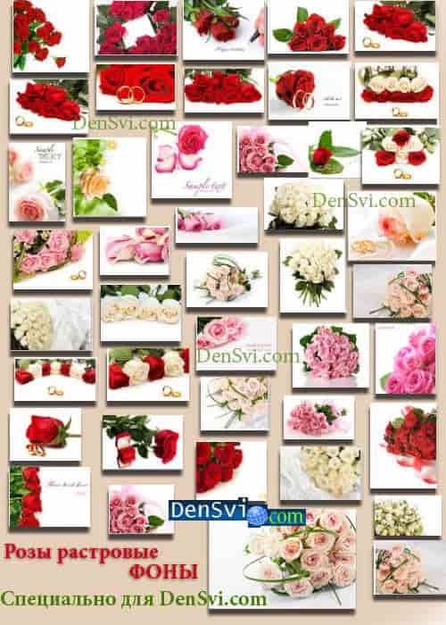 Фоны Фотошопа растровые - Розы - уникальная коллекция