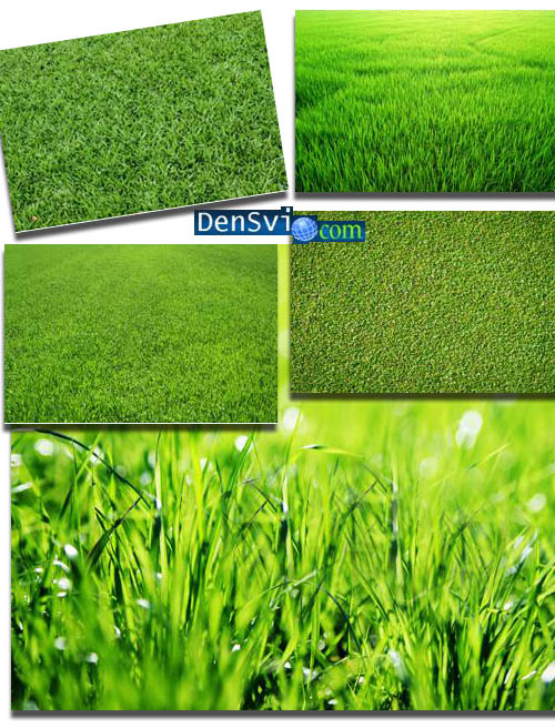 Зелёная трава - Фоны Фотошоп