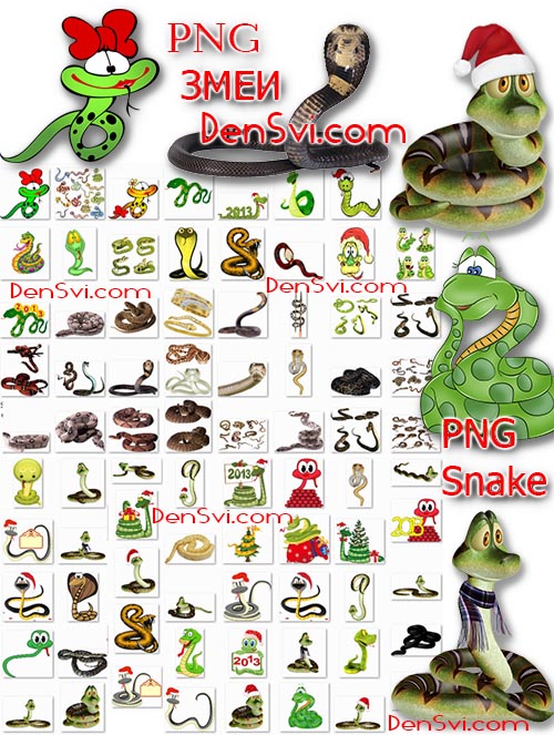 Змеи 2013 - PNG Фотошоп эксклюзивно