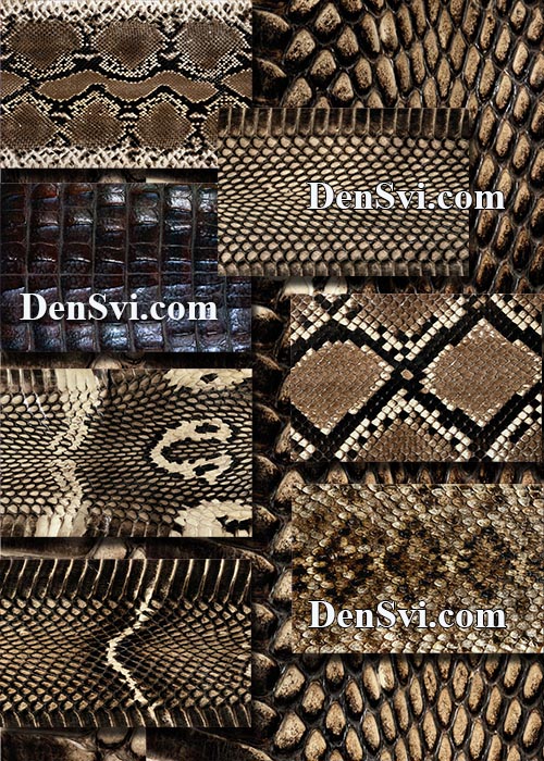Змеиная кожа  - Фотошоп коллекция текстур | Snakeskin textures
