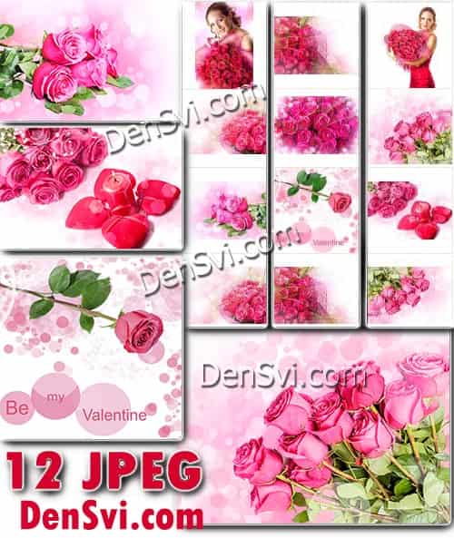 Яркие розовые розы - HR Растровый клипарт