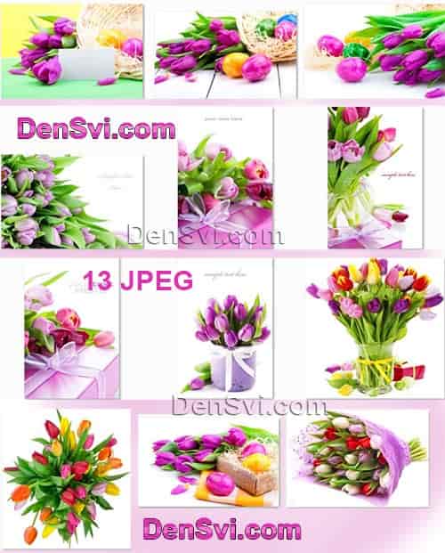 Пасха - лиловые тюльпаны - фоны открыток