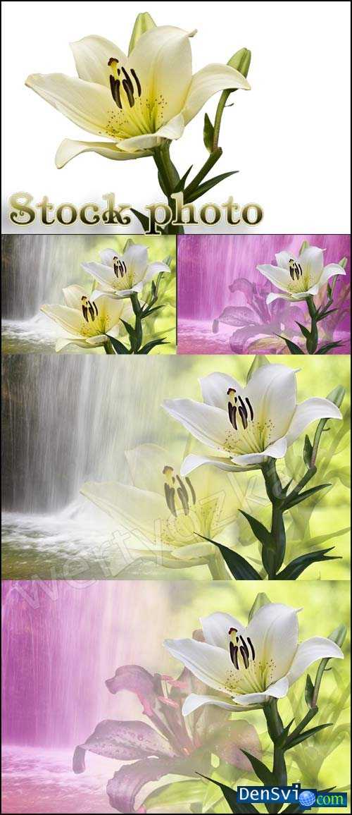 Фоны Фотошопа - Водопад и лилии