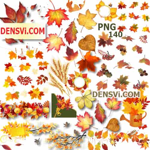 Осенние листья и рамки PNG высокого качества